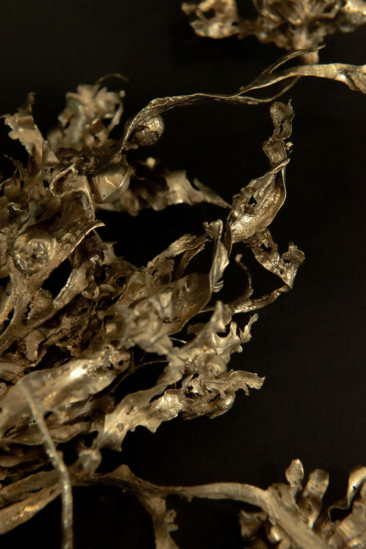 Algua – L'ensemble des seize sculptures