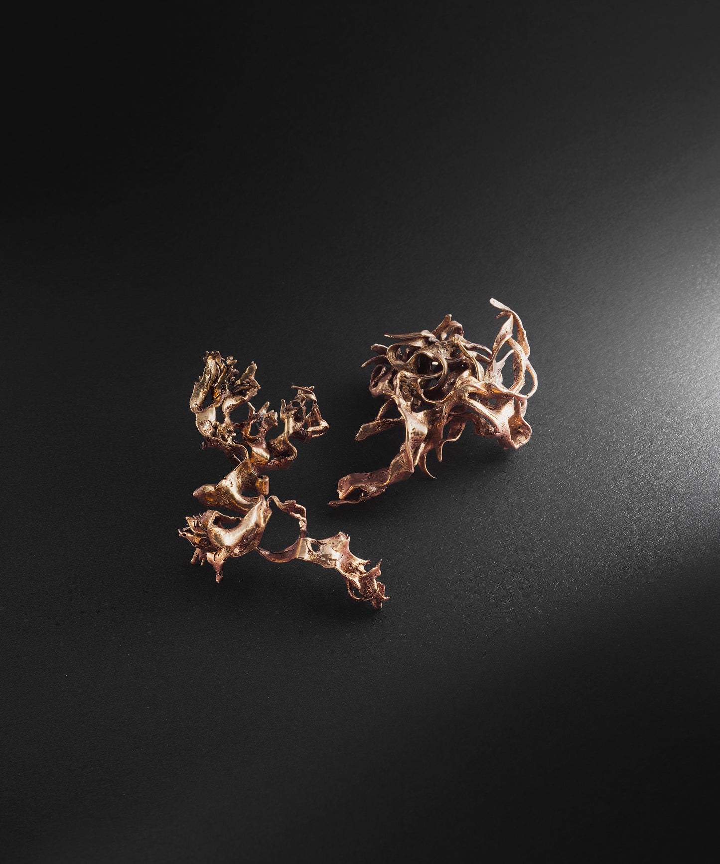 parure d'oreille e.