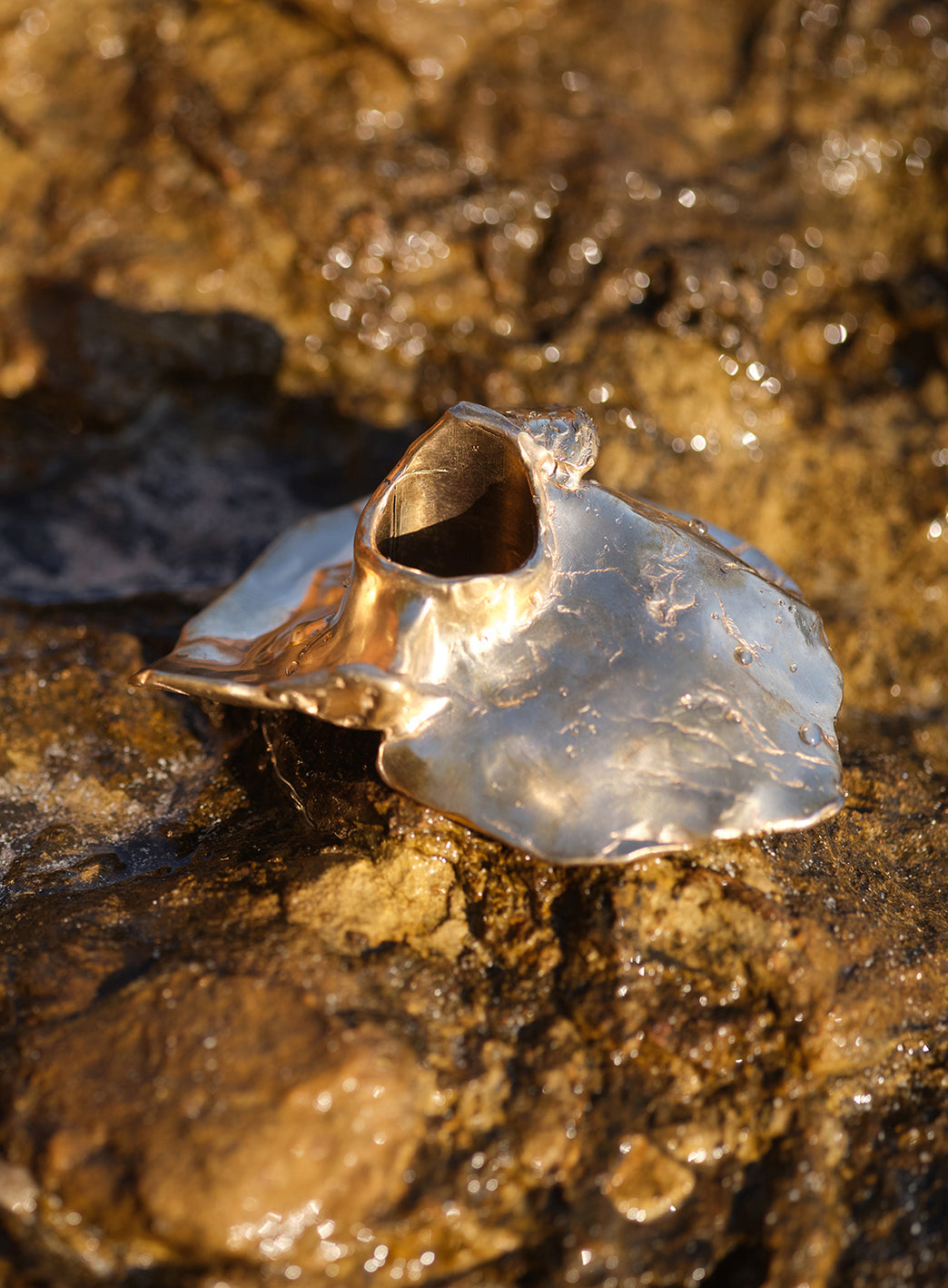 damarisdurrleman-oystersobjects-bougeoirsbronzec