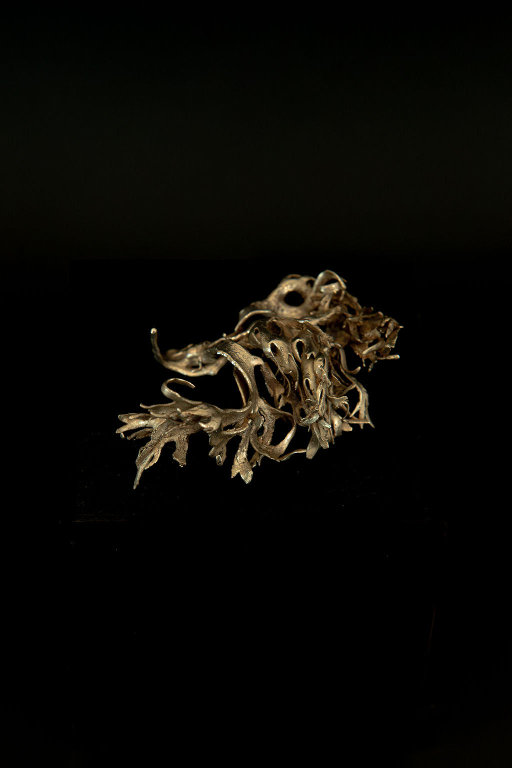 Algua, petite sculpture II : algue en bronze, pièce unique de Damaris Durrleman, 6 × 4,5 cm