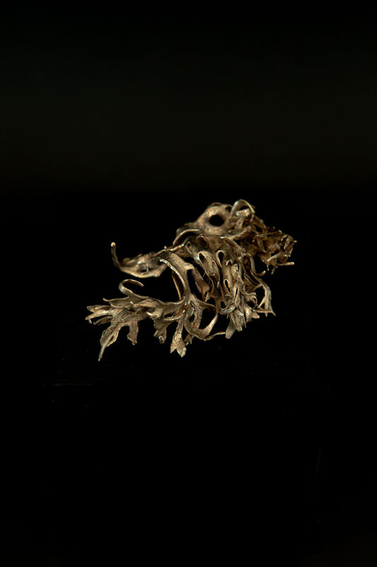 Algua, petite sculpture II : algue en bronze, pièce unique de Damaris Durrleman, 6 × 4,5 cm