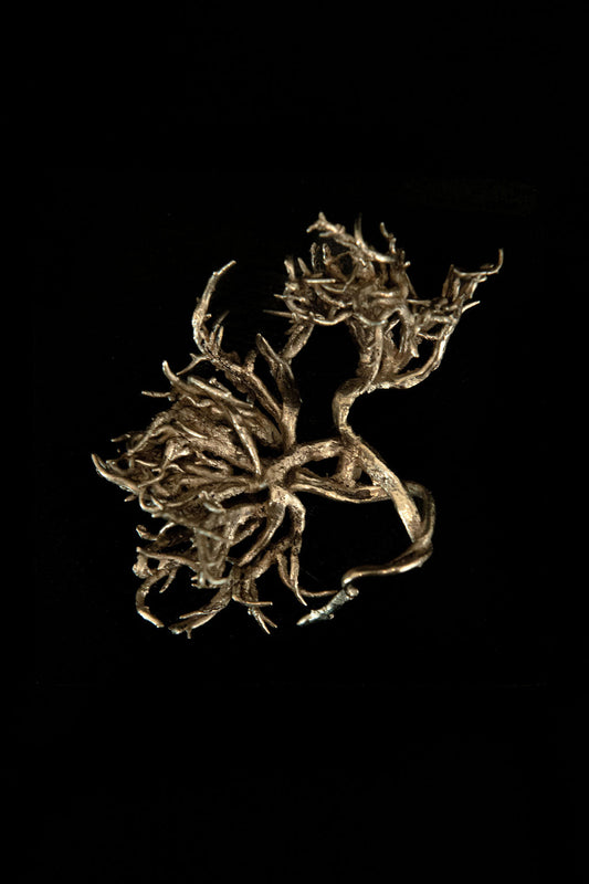 Algua, petite sculpture IV : algue en bronze, pièce unique de Damaris Durrleman, 8 × 5 cm