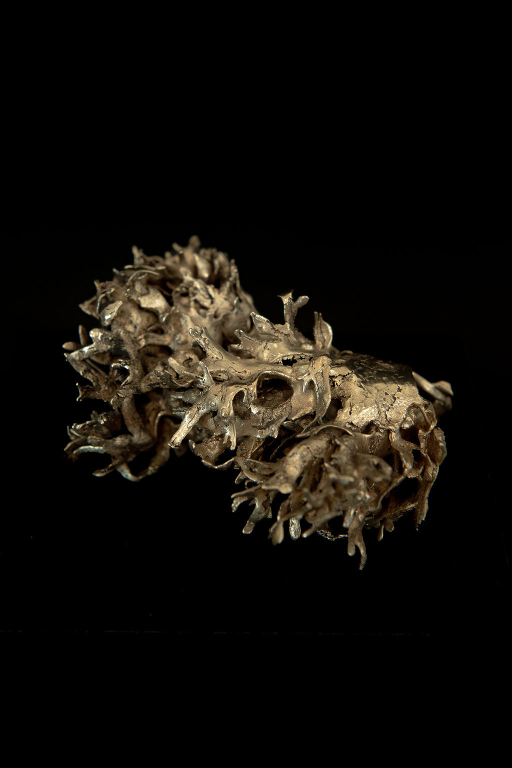 Algua, petite sculpture VI : algue en bronze, pièce unique de Damaris Durrleman, 8 × 5 cm