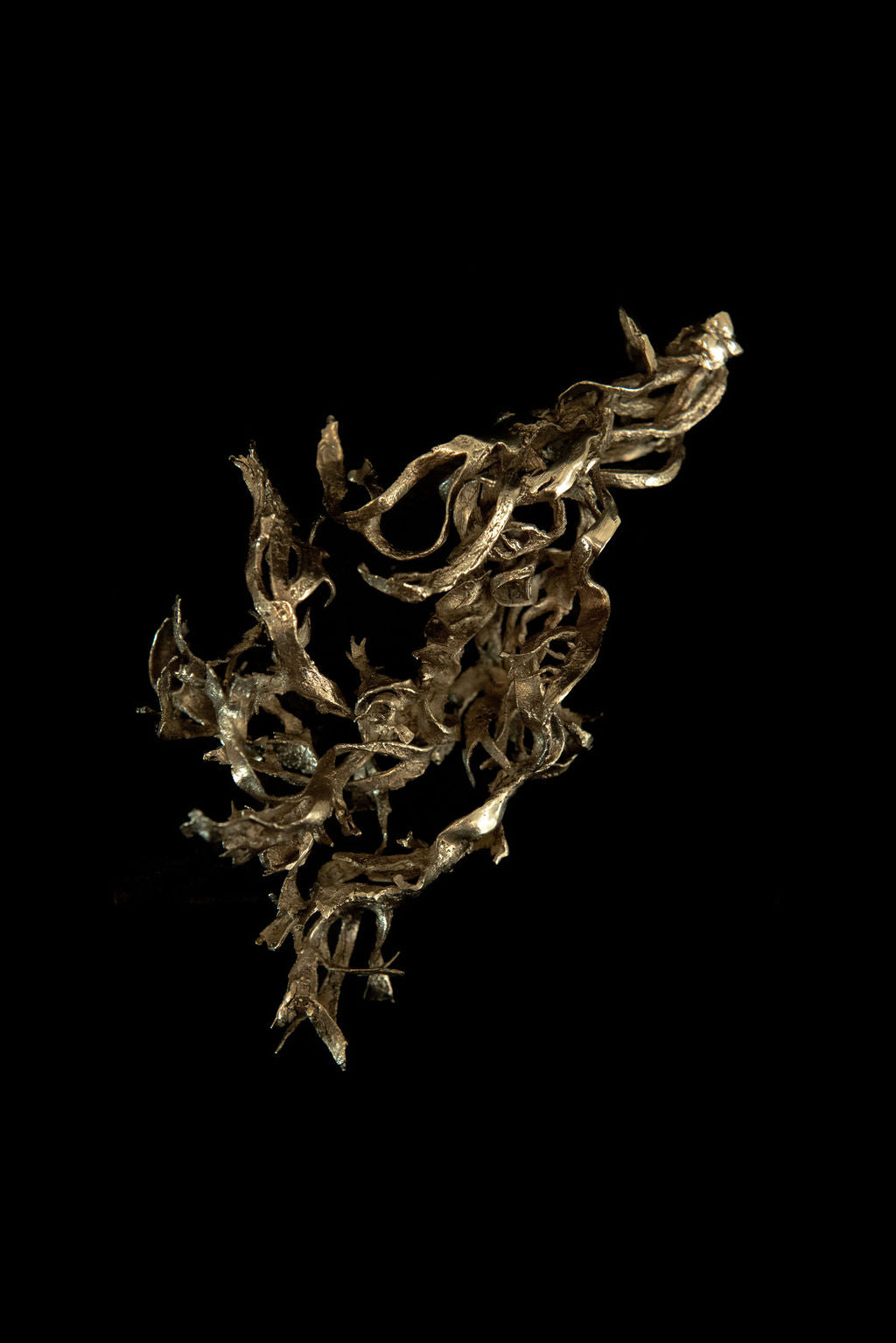 Algua, petite sculpture VIII : algue en bronze, pièce unique de Damaris Durrleman, 10,5 × 5,5 cm
