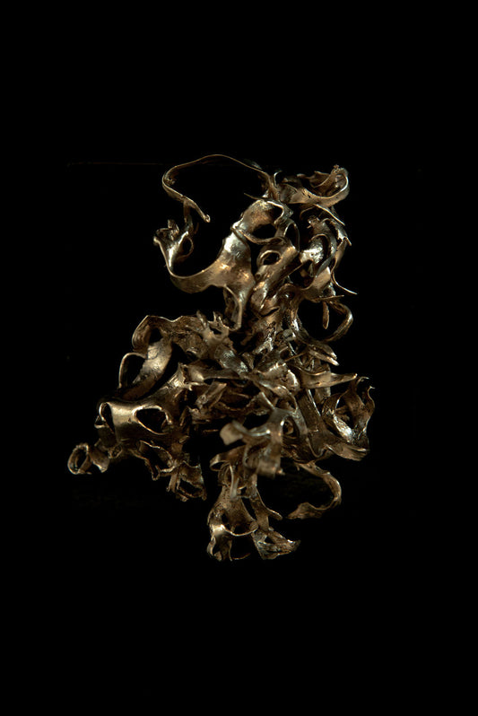 Algua, petite sculpture IX : algue en bronze, pièce unique de Damaris Durrleman, 10,5 × 5,5 cm