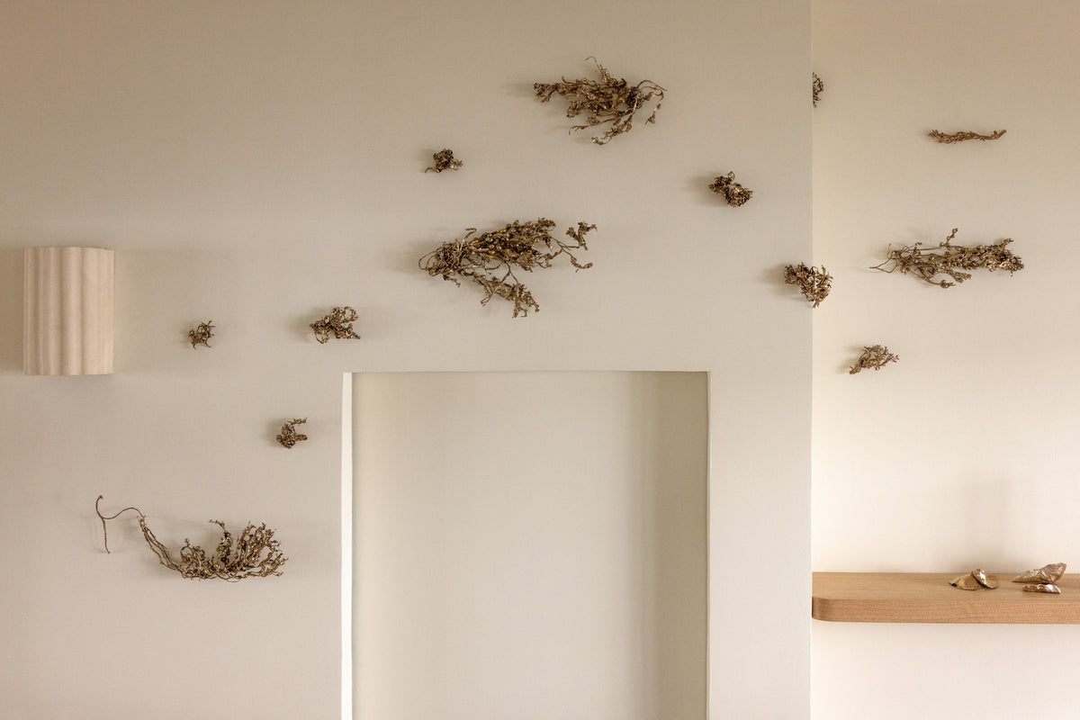 L'ensemble des sculptures Algua en bronze fixées au mur du studio de Damaris Durrleman