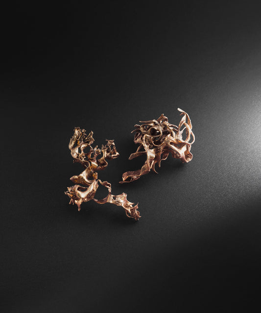 parure d'oreille e.