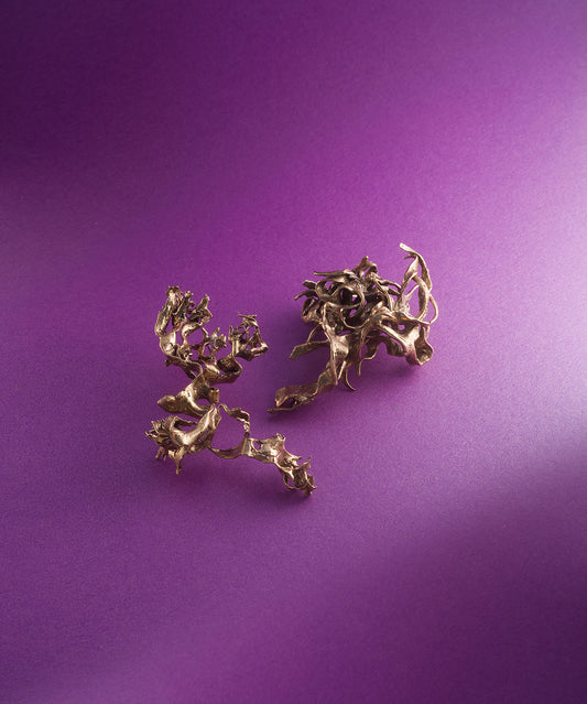 parure d'oreille e.